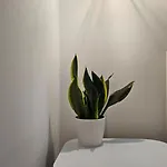 Metis Apartment *