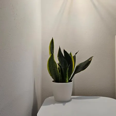 Metis Appartamento *