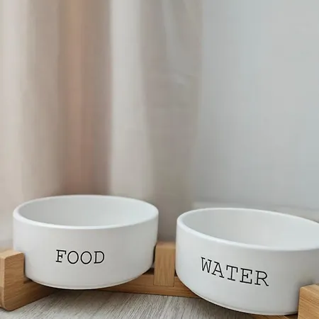 Appartamento Metis *